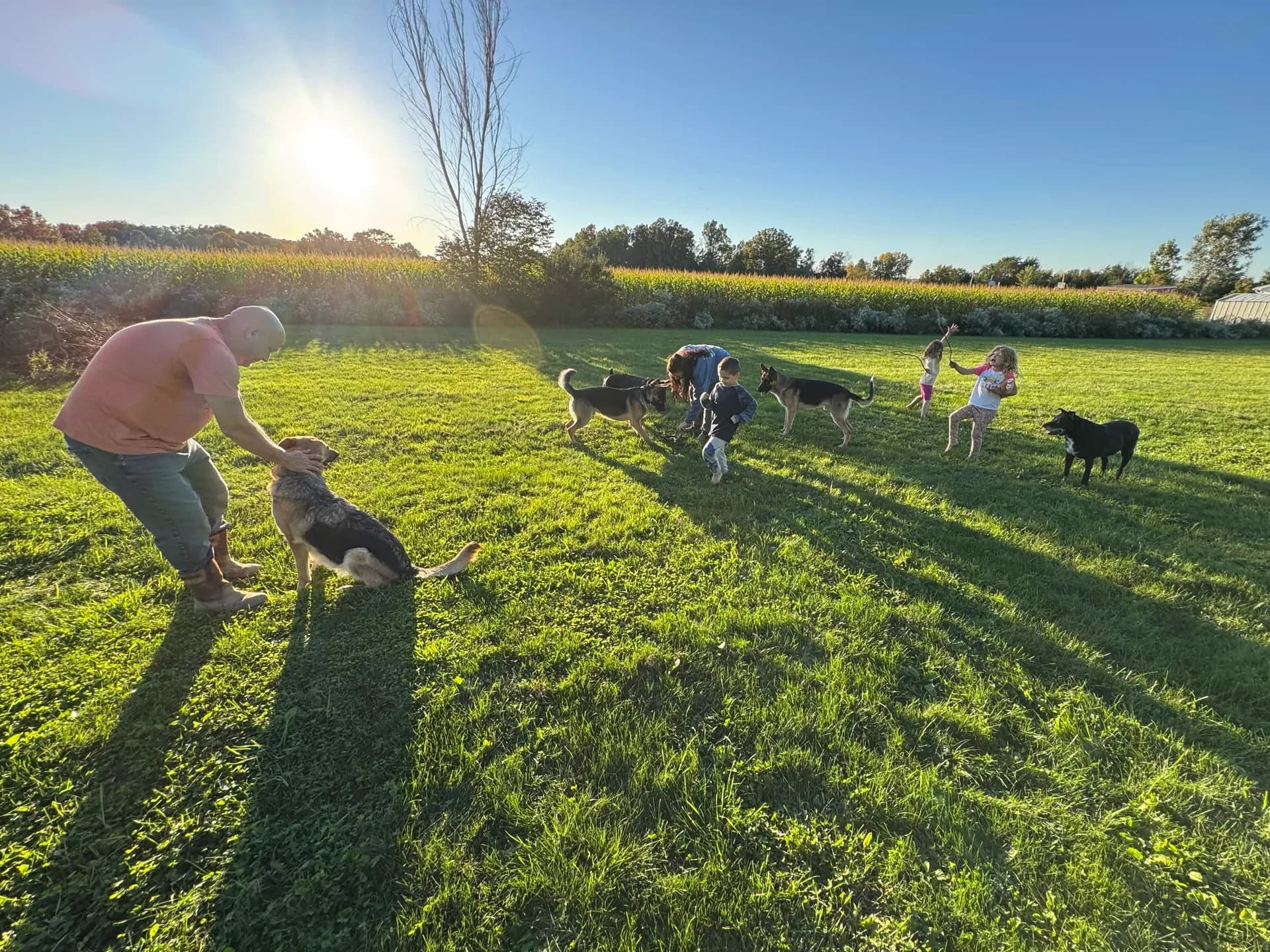 Patriot K9 family members and dogs spending time together in the open rural training yard.